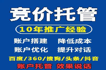 谷歌竞价案例：快速提升品牌影响力的广告策略
